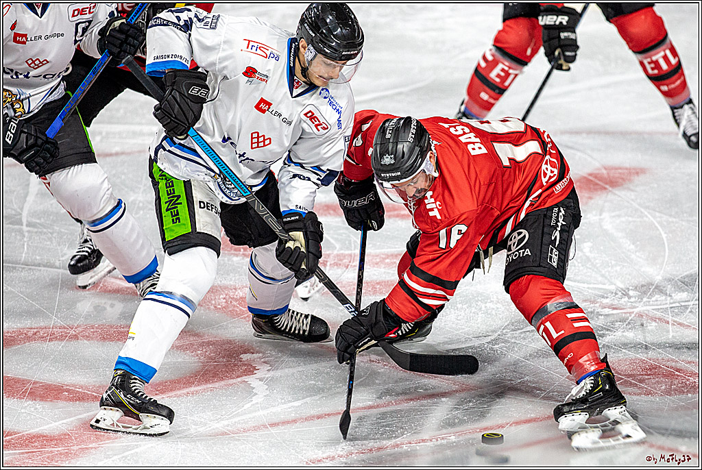 DEL; Koelner Haie - Straubing Tigers; Koeln, 17.11.2019
